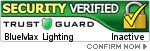Security Seal