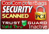 Security Seal