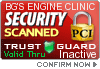 Security Seal