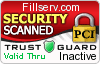 Security Seal