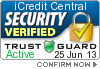 Security Seal