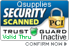 Security Seal